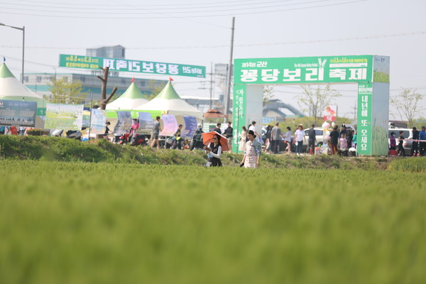 군산꽁당보리축제./자료사진=군산시